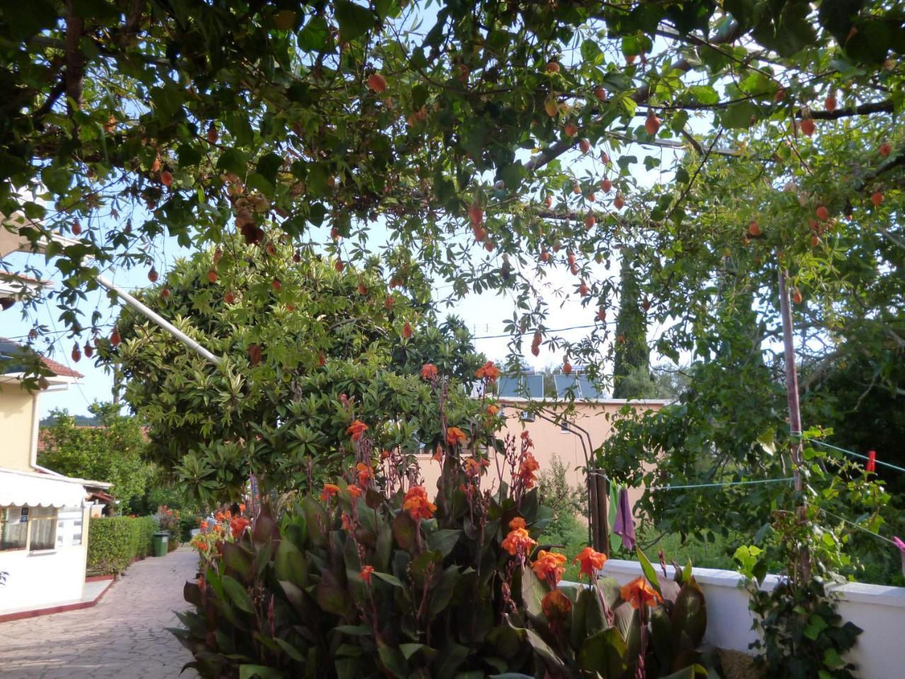 Kostas Studios Agios Georgios Pagon Extérieur photo